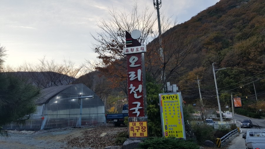 오리천국 이미지