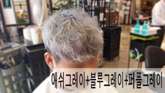 블루투퍼플 이미지