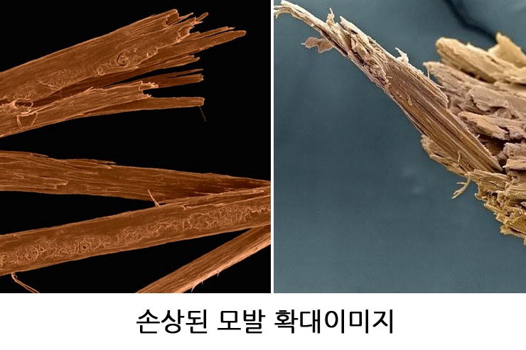 마리클리닉 이미지