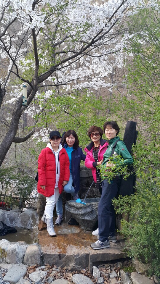푸른시절7080 이미지