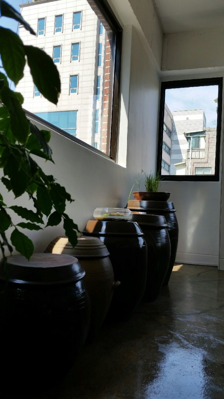 지유명차강남 이미지