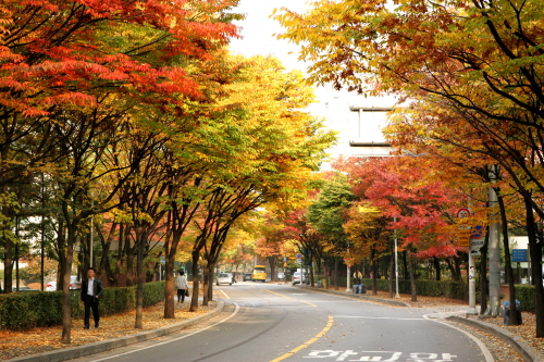 롯데리아신정네거리역 이미지