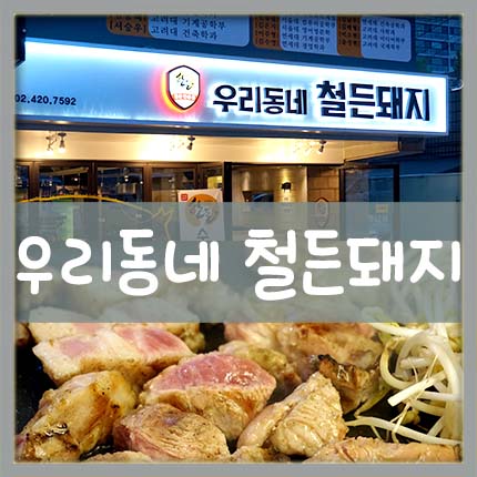 철든돼지 이미지