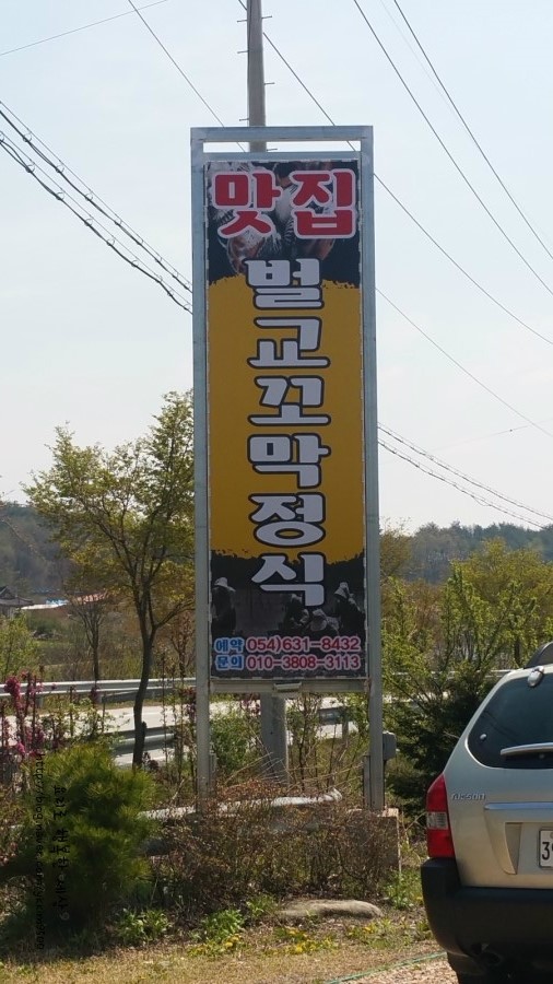 순흥애꽃 이미지