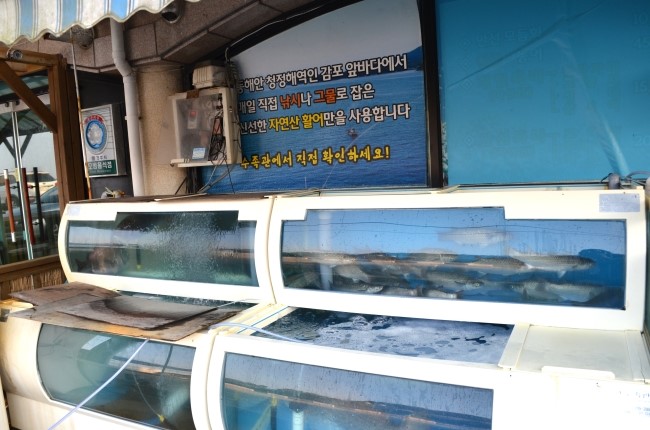 경주활어센타 이미지
