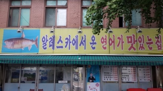 보스 연어 이미지