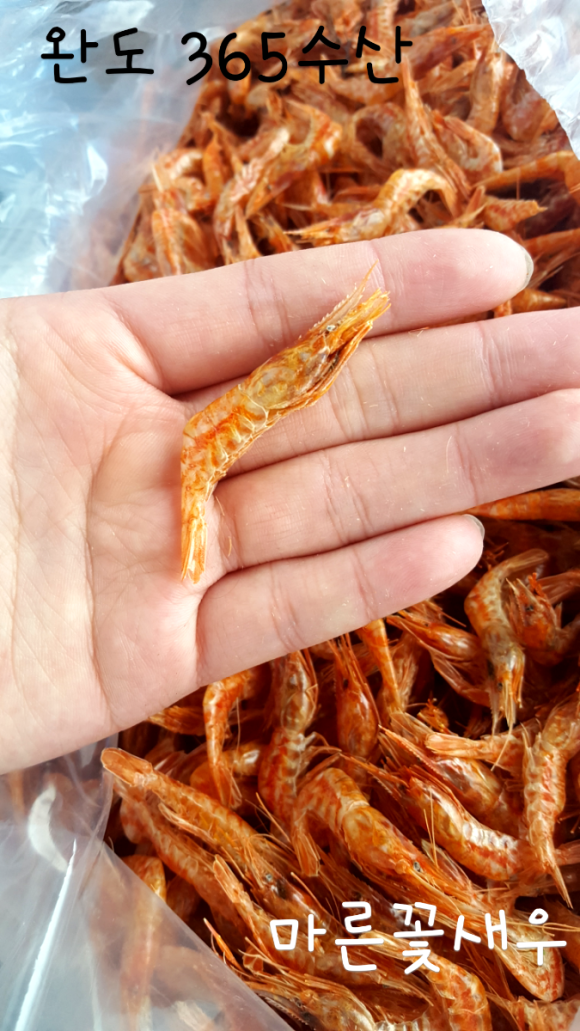 완도수산365 이미지