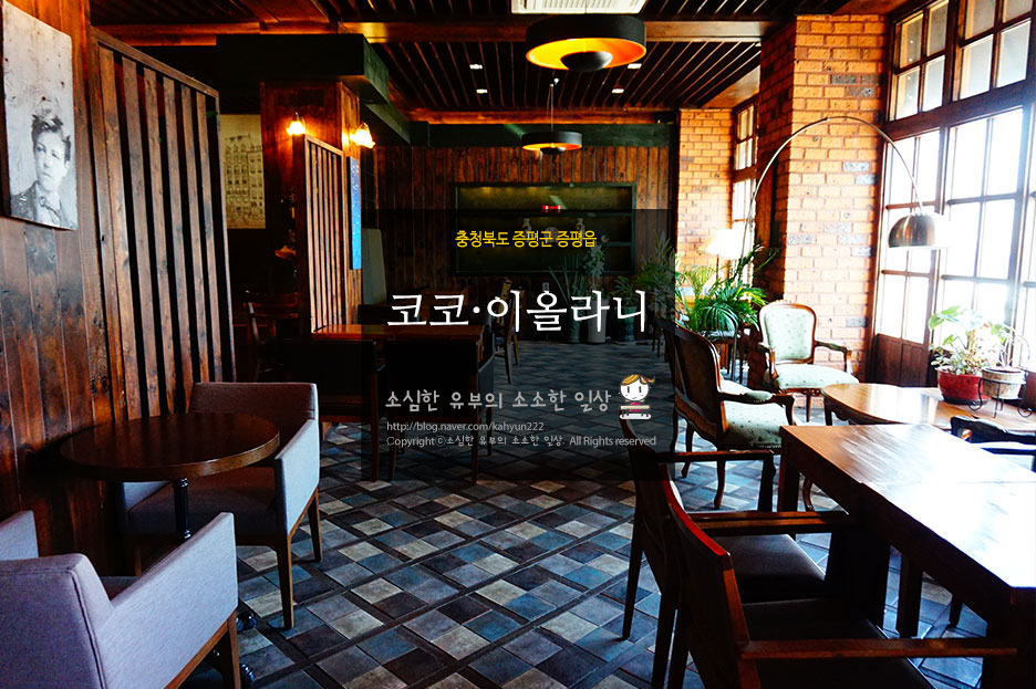 코코 이올라니 이미지