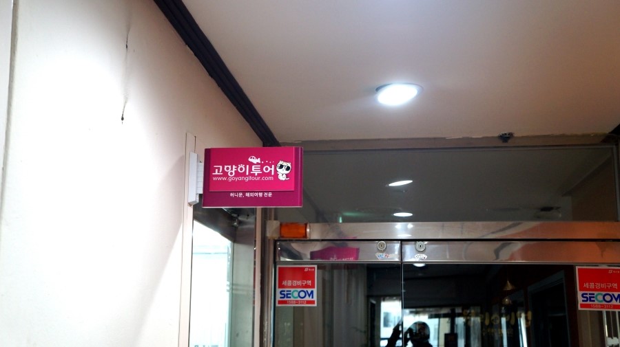 허니문여행사 이미지