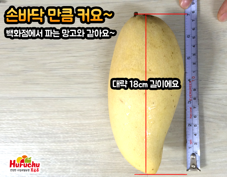 망고마트 이미지