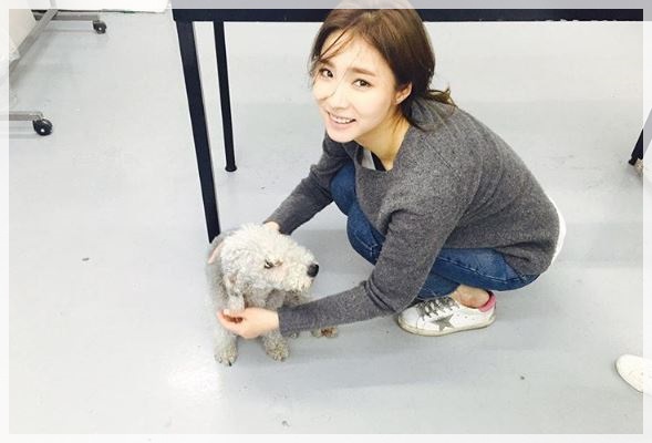케이크부 이미지