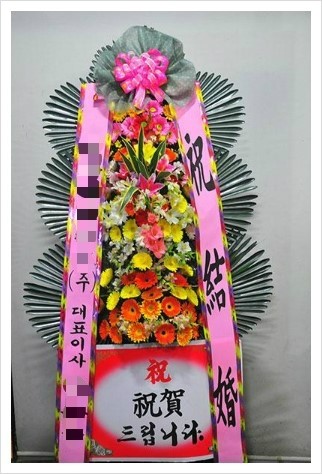 이지벨 이미지