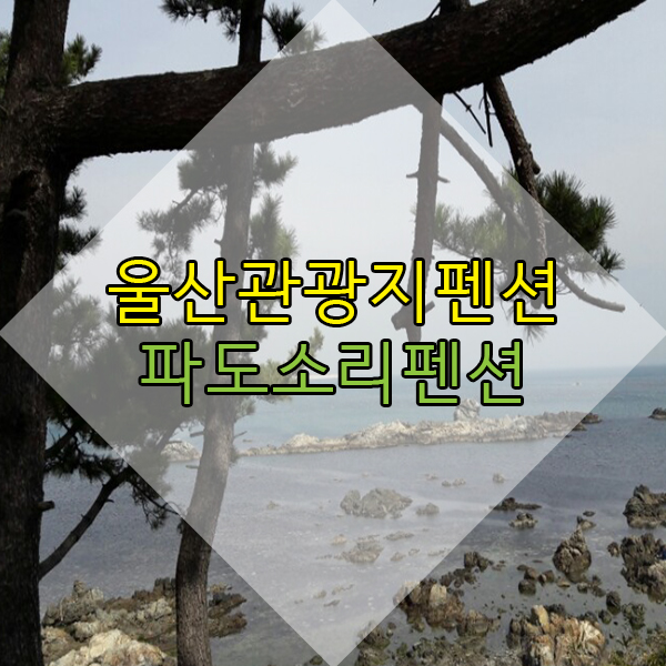 파도소리(주) 이미지