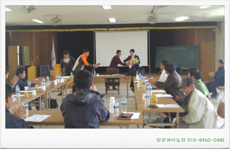 땅끝부추 이미지
