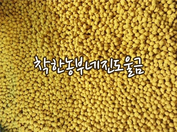 진도울금 이미지