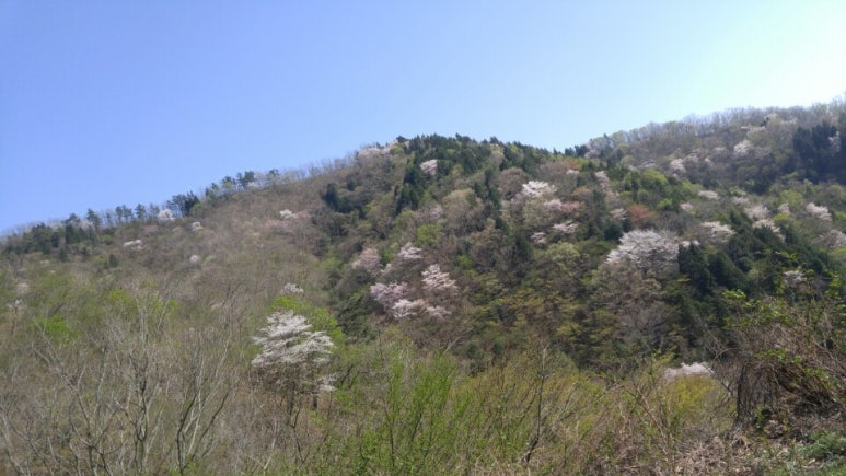 자연이랑민박 이미지