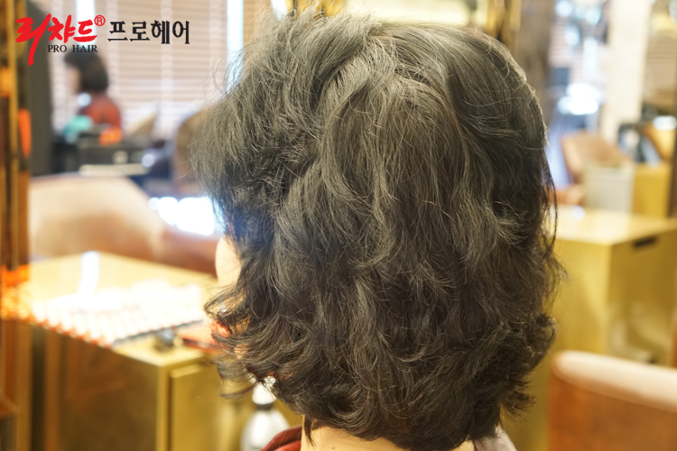 리챠드프로헤어 이미지