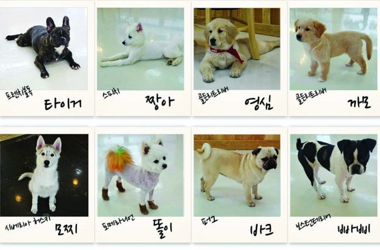 개편한까페 이미지