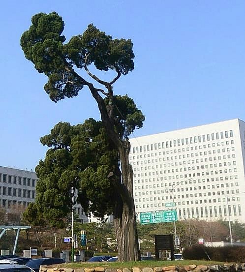 세무법인장원 이미지