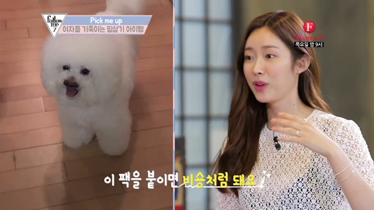 범브 이미지