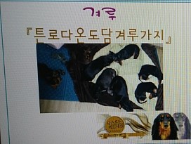 카페베르네 이미지