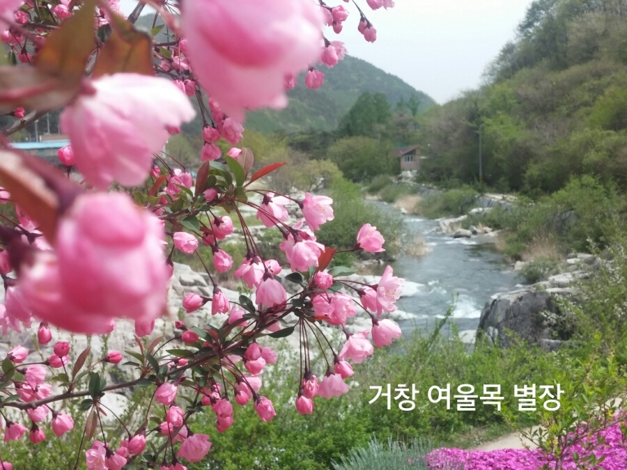 여울목별장 이미지