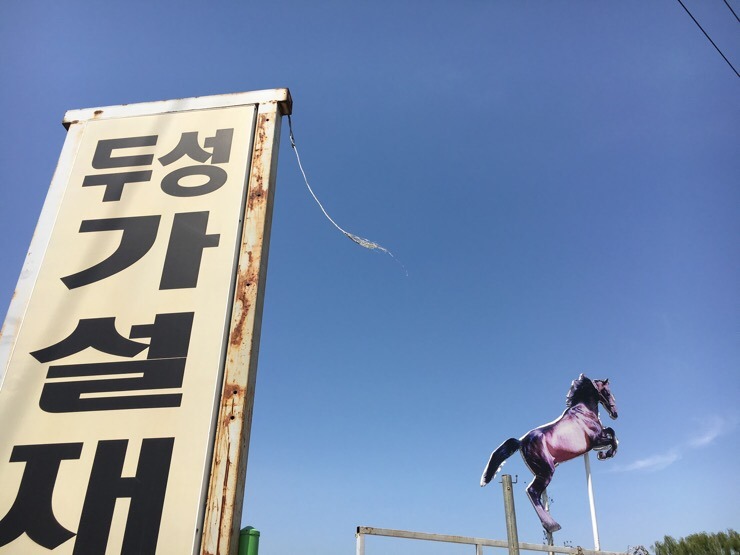네파장암 이미지