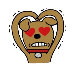 아벡모로 이미지