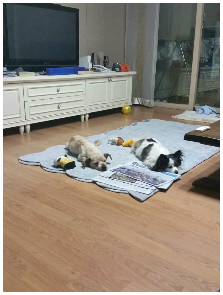 대박이집 이미지