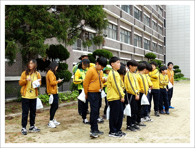 공주교육대학교부설초등학교 이미지