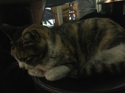 권선생 이미지