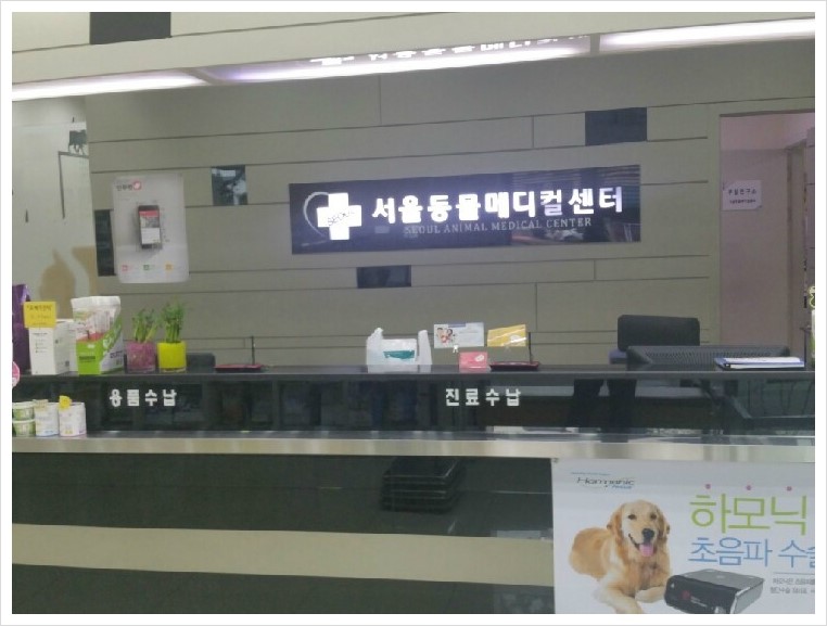 대박이집 이미지
