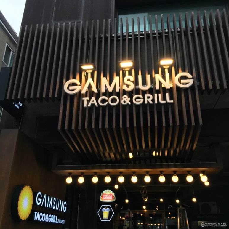 겸타코 이미지