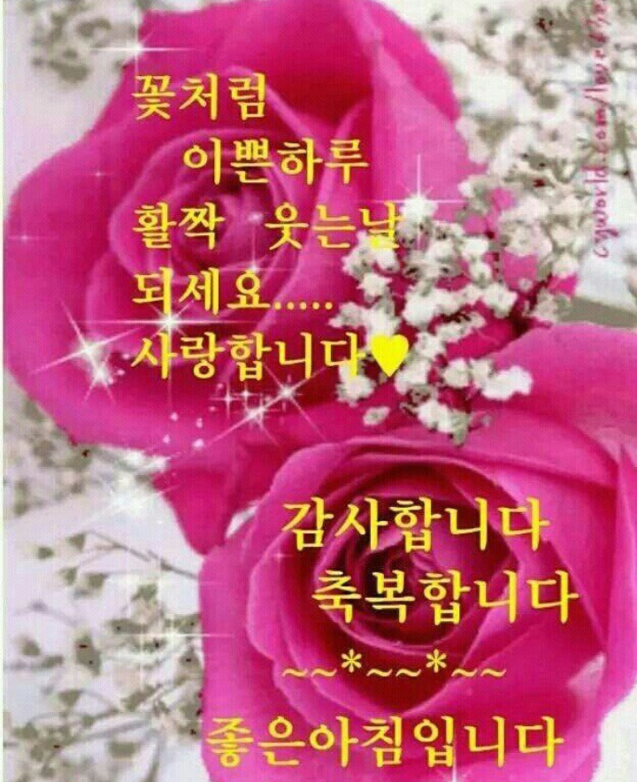 남강인력개발 이미지