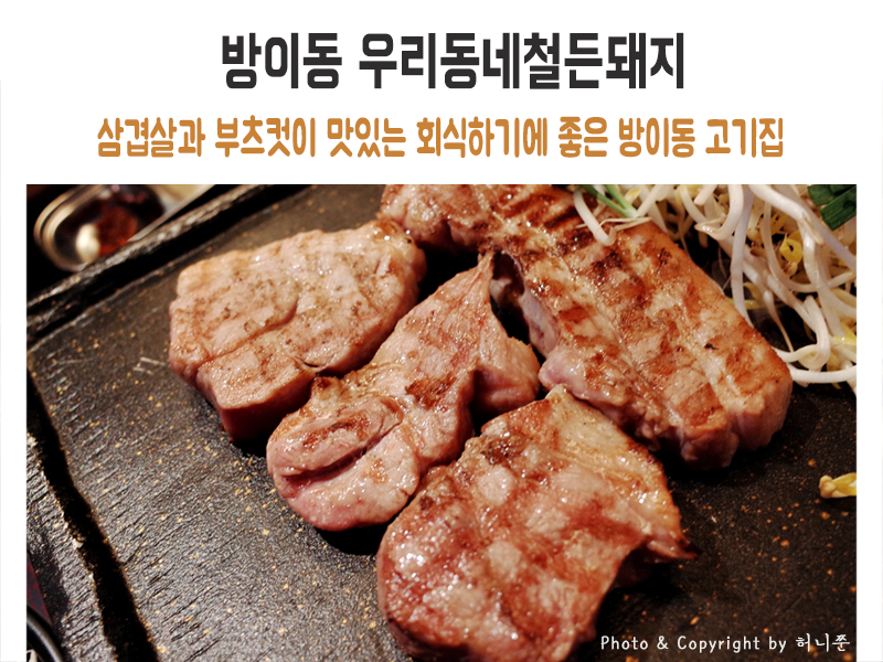 철든돼지 이미지