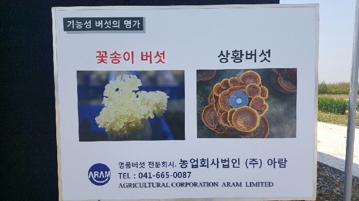 (주)아람미디어 이미지