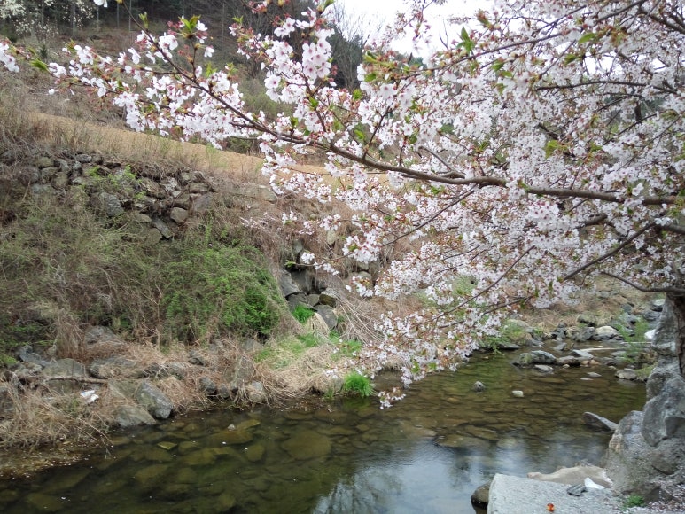 돌핀수상레저 이미지