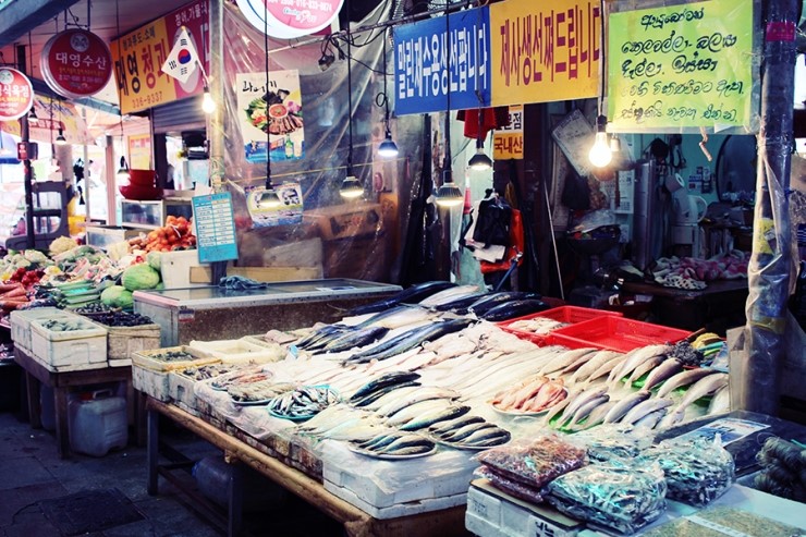 정연축산 이미지