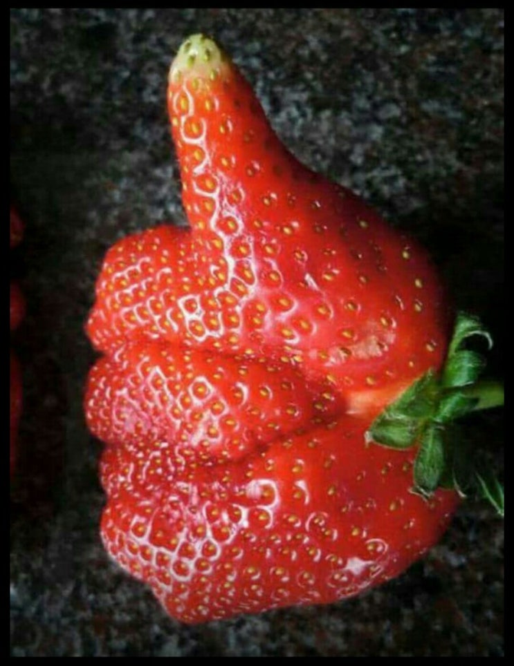 명성정육점 이미지