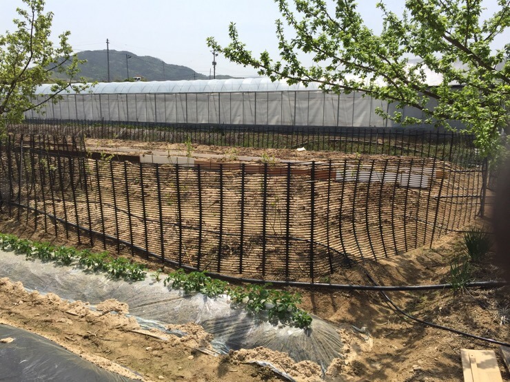 하온농장 이미지
