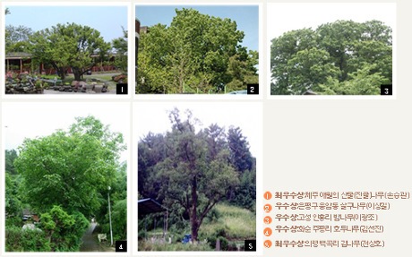 동네과일 이미지