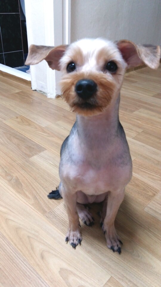 모띠앙 이미지