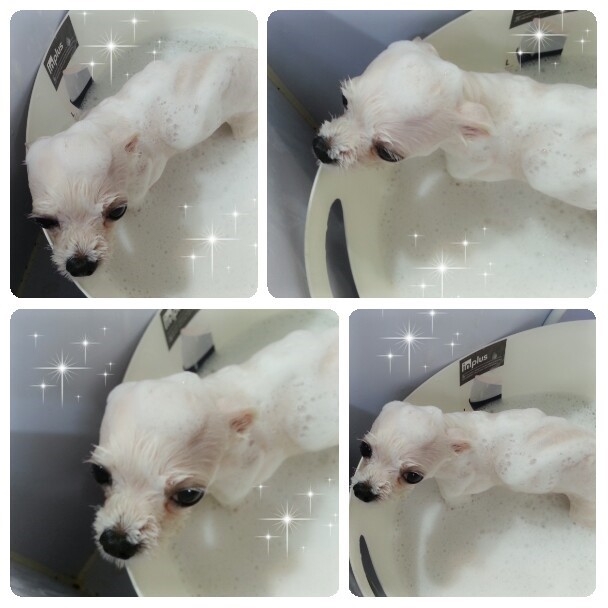 소미미용실 이미지