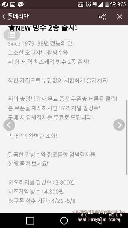 오징어데이 이미지