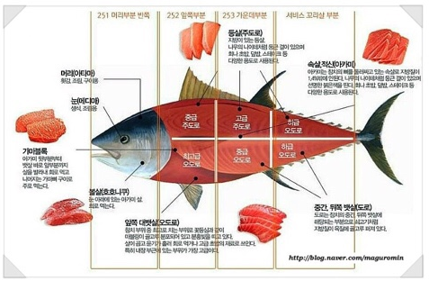 해신참치 이미지
