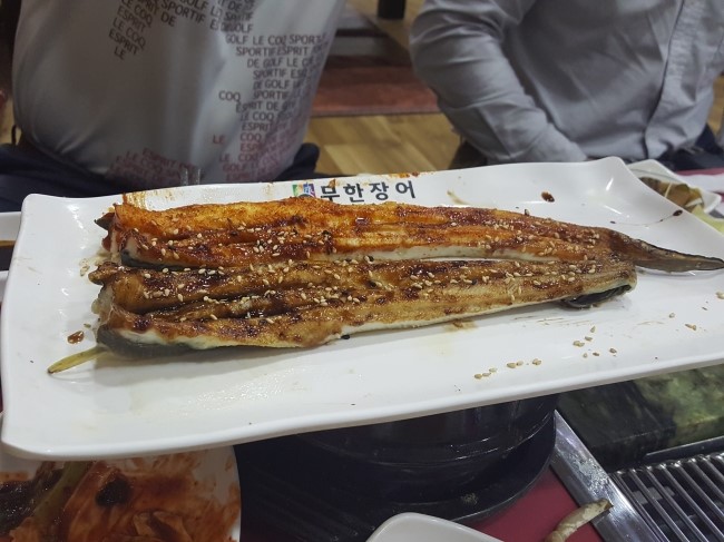 힘이불끈장어 이미지