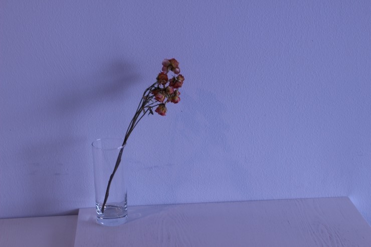 엠앤에스카페 이미지