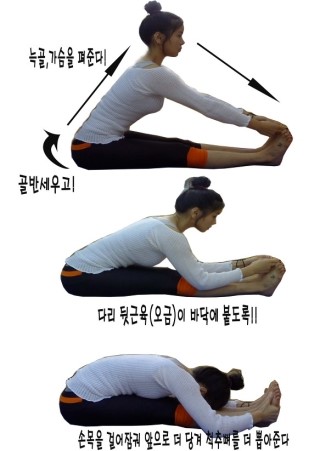 파스타나야 이미지