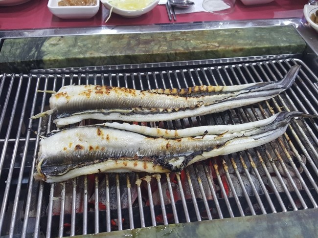 힘이불끈장어 이미지