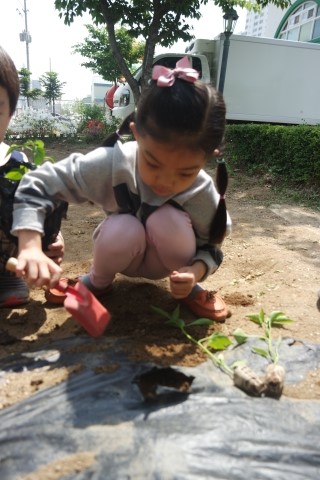 상곡어린이집 이미지